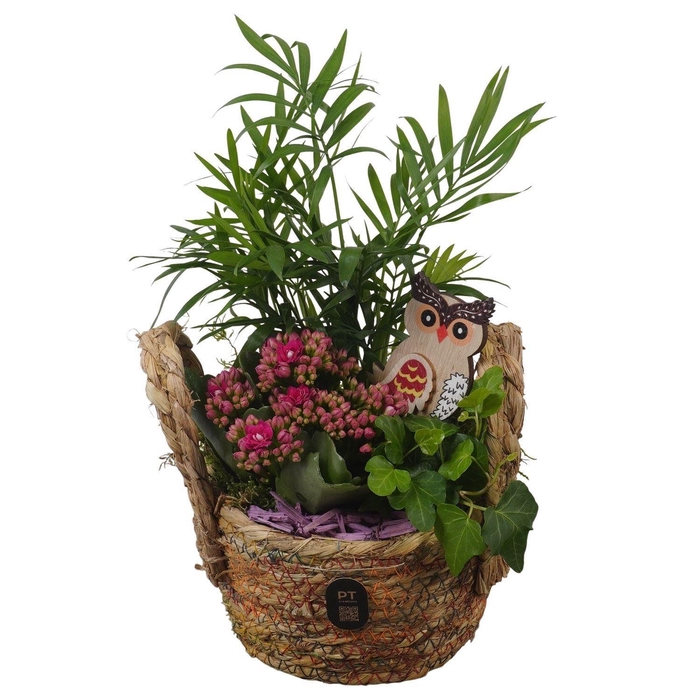 <h4>Arr.    Planten  L%</h4>