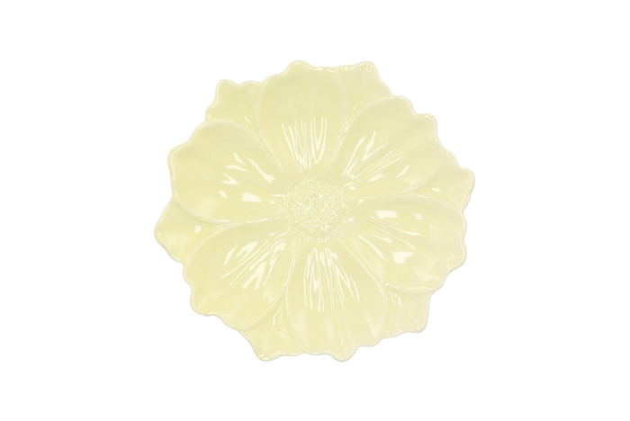 Bloom Cosmea Plate Yellow 18x18x4cm