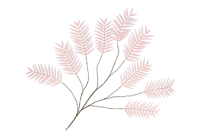 <h4>Silk Palm Leaf Light Pink 150cm Nm</h4>