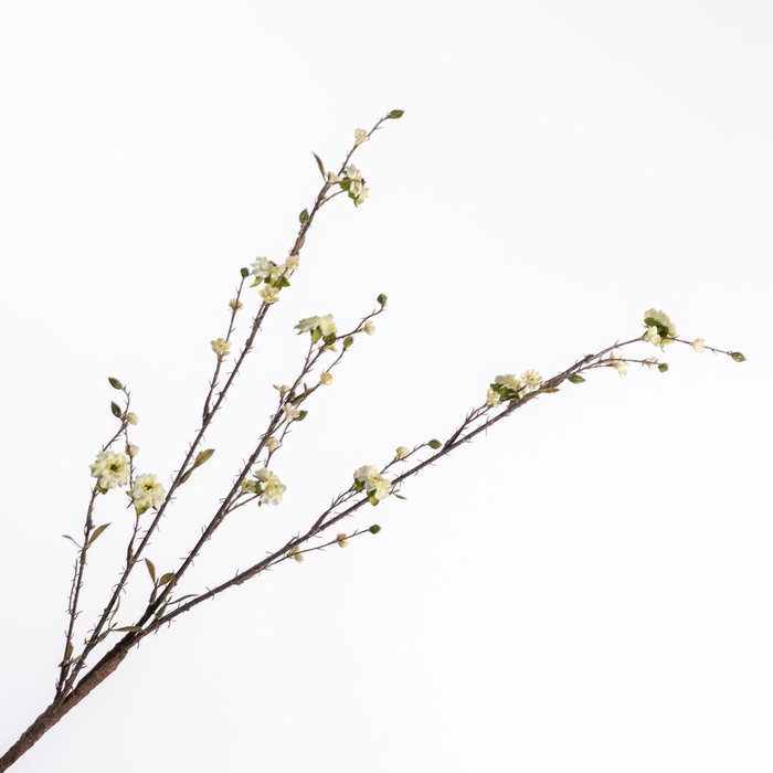 Rosa Spray Mini Cream FL440328CRM