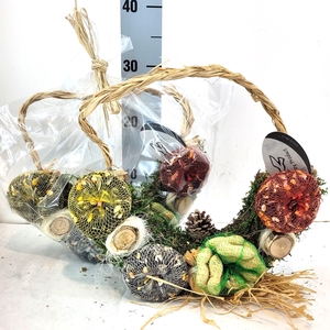 Kleine Voeder Slinger in Kado Folie