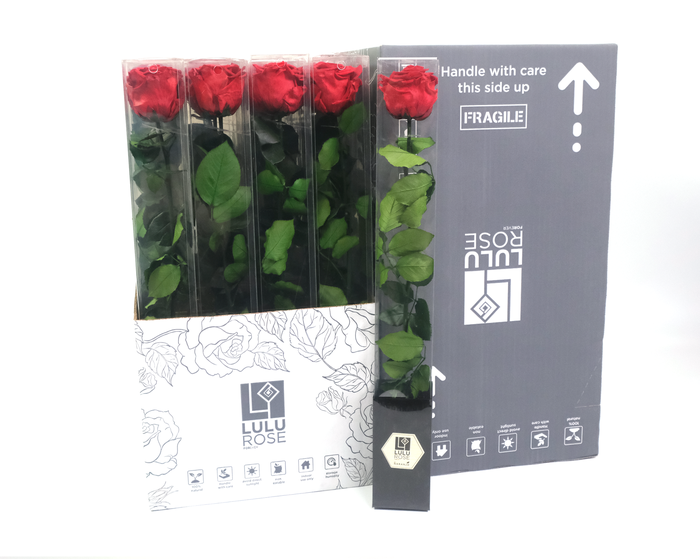 <h4>Rosa Preserved Stem 50cm Sublime Cherry Red</h4>