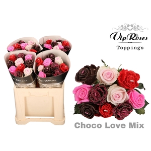 R GR CHOCO LOVE MIX 60cm 588