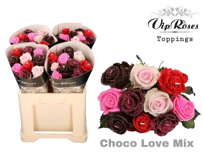 <h4>R GR CHOCO LOVE MIX 60cm 588</h4>