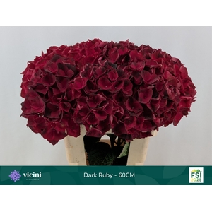 HYDR M MAG DARK RUBY
