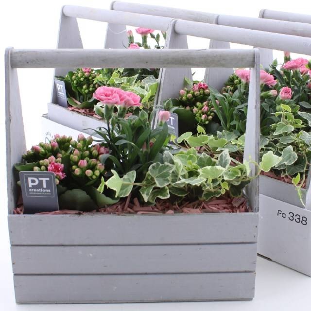 <h4>ARR TUINPLANTEN</h4>