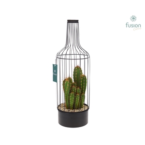 Fles metaal zwart Large met Cactussen