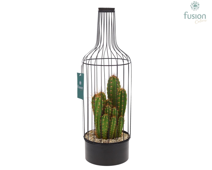 <h4>Fles metaal zwart Large met Cactussen</h4>