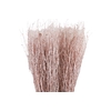 Berk Klb Champagne Diamond