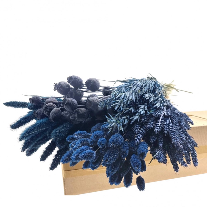 <h4>Droogbloem DIY box assorti 65-70cm</h4>