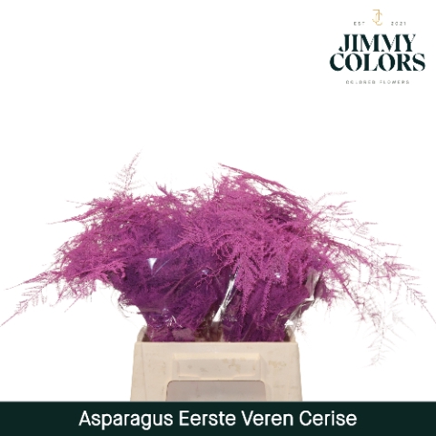 <h4>Asparagus 1ste Cerise</h4>