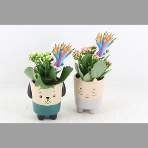 arr2 JS - Ker. potje cat/dog - roze