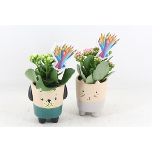 arr2 JS - Ker. potje cat/dog - roze