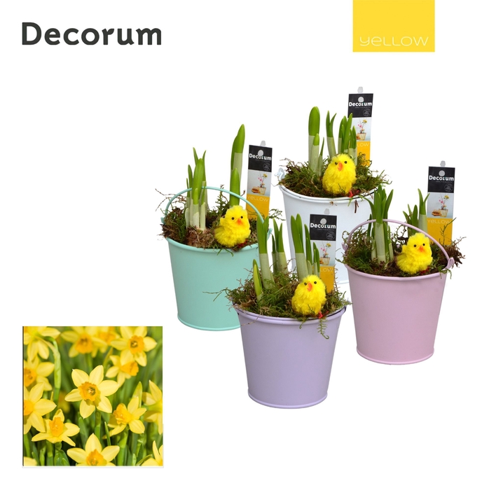 <h4>Narcis Lovely Bucket HL10565 [YELLOW]</h4>