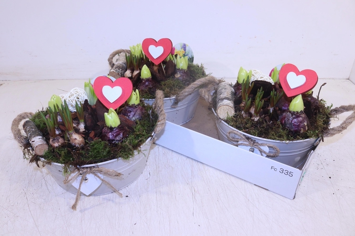 <h4>ARR BOL KNOLGEWAS</h4>