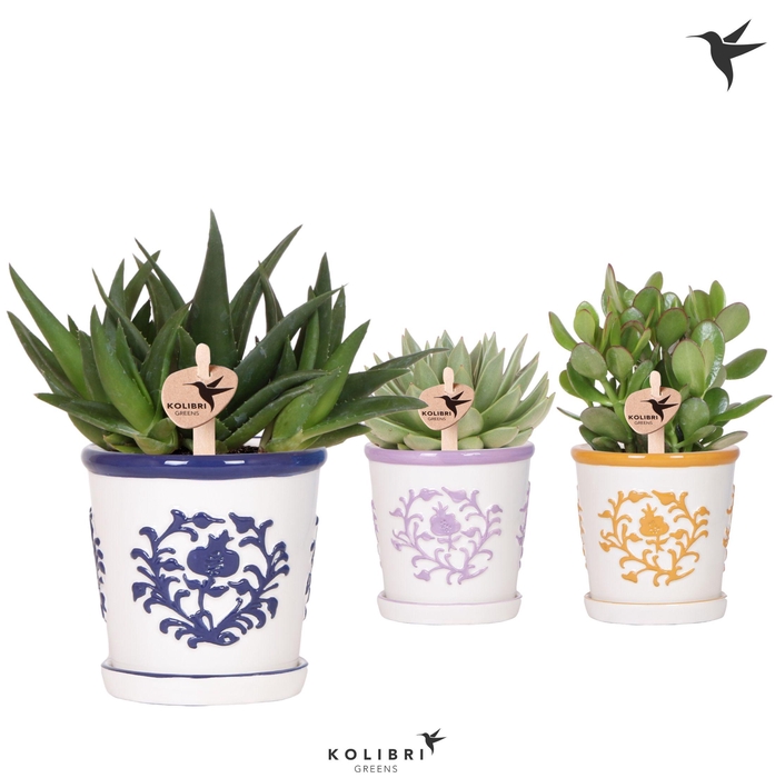 <h4>Succ Gemengd Keramiek Malaga</h4>