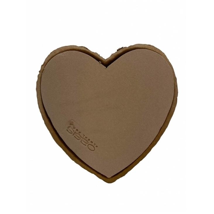<h4>Oasis Bio Biolit Heart 25.5*28*4cm</h4>