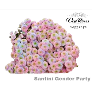 Chr Sant Paint Dusty Gender Party