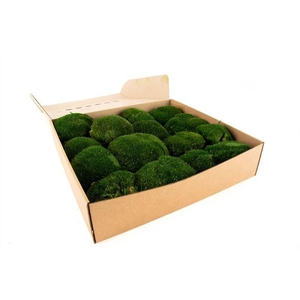 Bolmos Gepreserveerd Ca. 0.16 M2