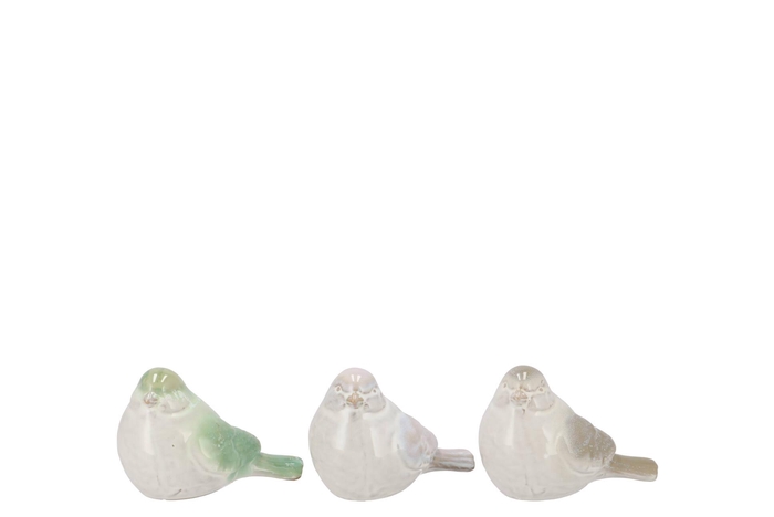 Jet Green Bird Ass 12x7x9cm