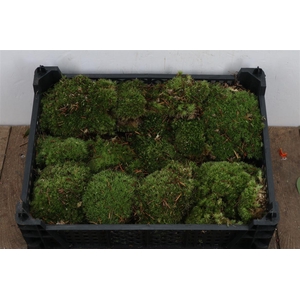 Mos Bolmos Super P Kist