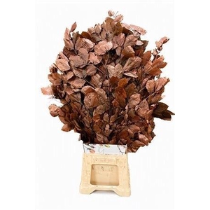 DECORGROEN KLB BS H%