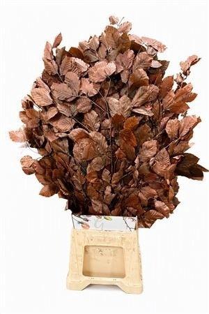 <h4>DECORGROEN KLB BS H%</h4>