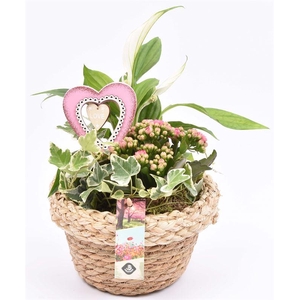 Natuur mand 18cm