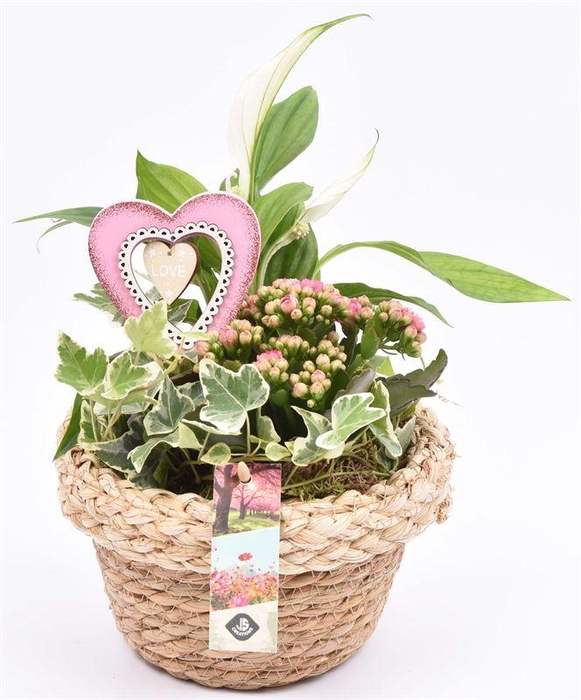 <h4>Natuur mand 18cm</h4>