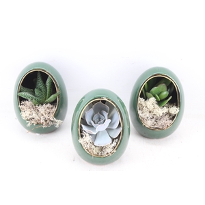 arr3 Demi - Egg green x8