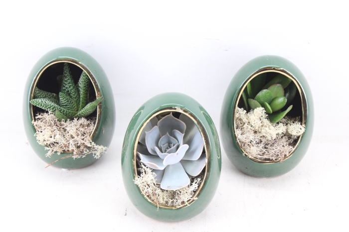 <h4>arr3 Demi - Egg green x8</h4>