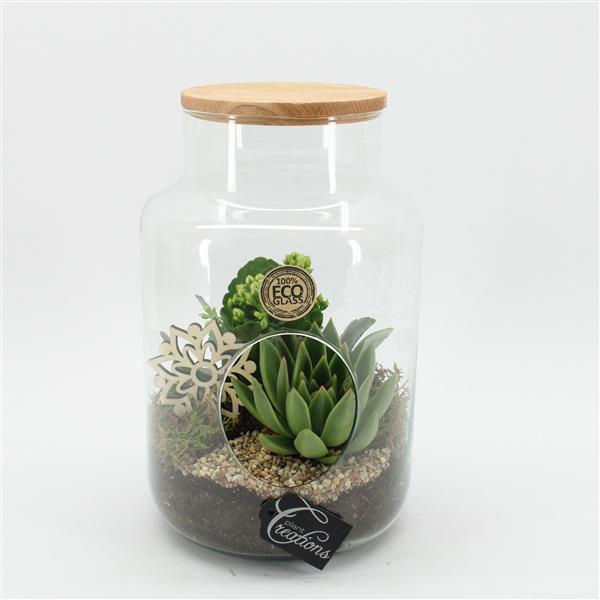 <h4>ESCR-2505W Essentials terrarium</h4>