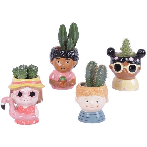 <h4>Cactus mix 5,5 cm in happy face pot</h4>