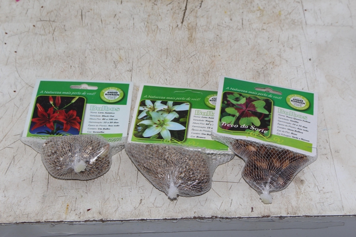 <h4>BULBOS DE FLORES NATURAIS</h4>