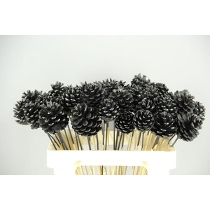 Stick Pine Cone Black