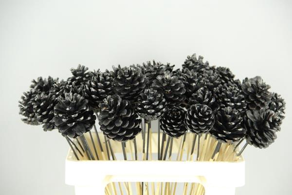 <h4>Stick Pine Cone Black</h4>