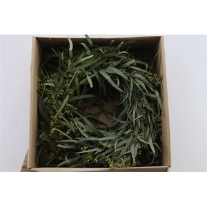 Wr Exotica Bes Leaves 40cm Natural