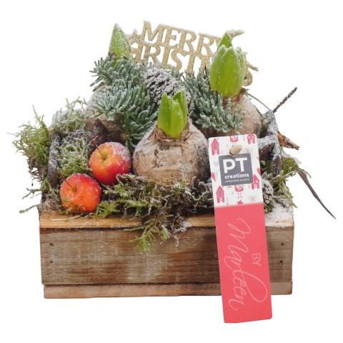 <h4>PTHCH6730 Arrangementen Hyacinthus</h4>