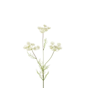 Dille 84cm
