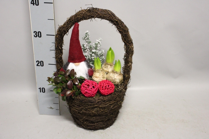 <h4>Arrangement Kerst Hyacint hengselmand</h4>