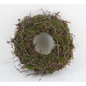 Wreath Moss Bonsai Ø30