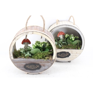 arr2 TD - Houten wiel x4 - wit