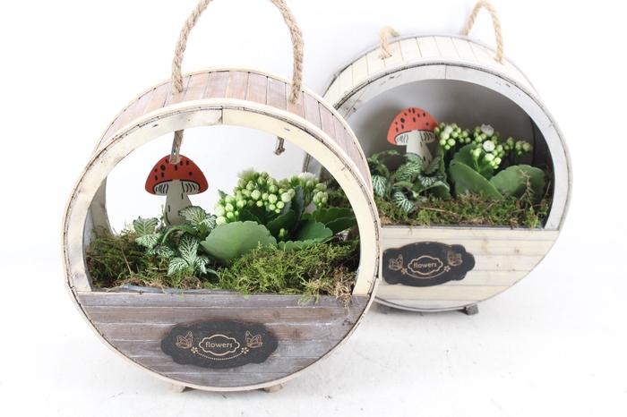 <h4>arr2 TD - Houten wiel x4 - wit</h4>