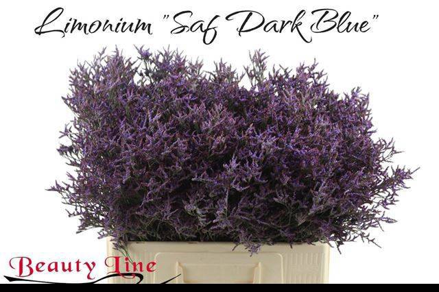 <h4>LIM SAF DARK BLUE</h4>