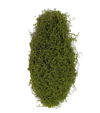 <h4>MUSGO X80 CM VERDE - SMO 5620 IMP</h4>