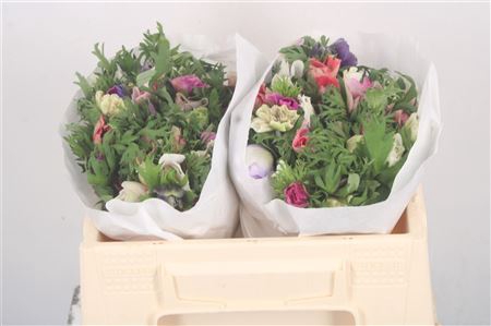 <h4>Anemone Mistral Mixed In Bunch</h4>