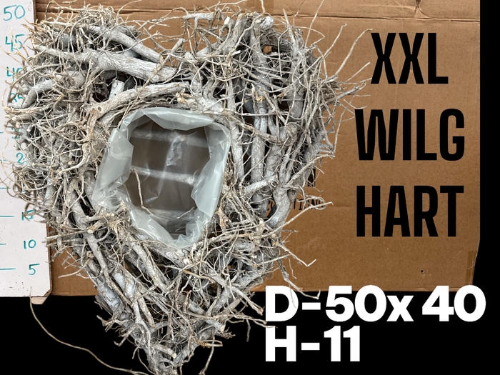 <h4>HUIS EN TUINDECO H%</h4>