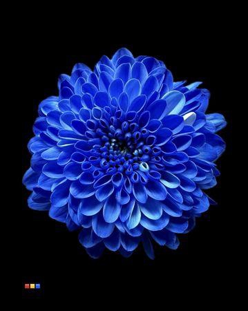 <h4>Chr S Cash Blue</h4>