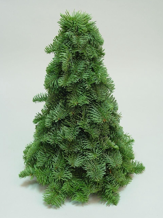 <h4>3D gemonteerde bomen Nobilis 60cm</h4>