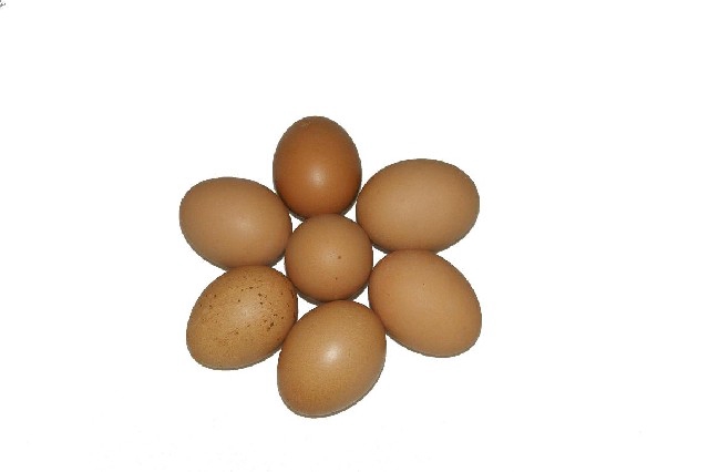 Egg chicken brown12pcs in tray